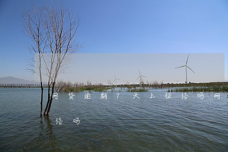 网贷逾期7天上征信吗(网贷逾期8天会上征信吗)
