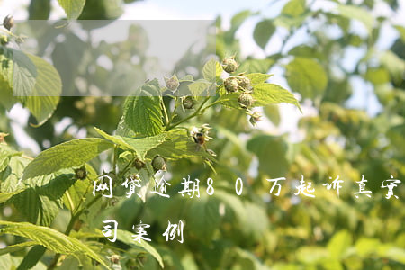 网贷逾期80万起诉真实案例-网贷逾期官司案例