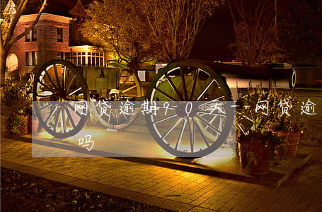 网贷逾期90天-网贷逾期90天会被起诉吗