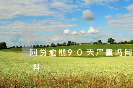 网贷逾期90天严重吗(网贷逾期90天严重吗)