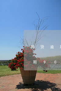 网贷逾期90天以内和以外的区别-网贷逾期90天以内和以外的区别是什么