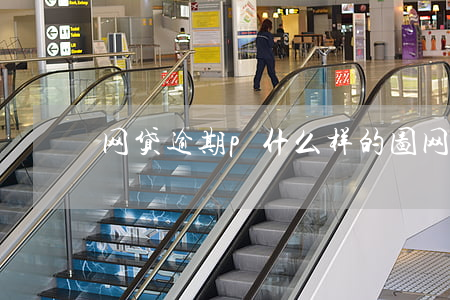 网贷逾期p什么样的图(网贷现在还敢p图吗)
