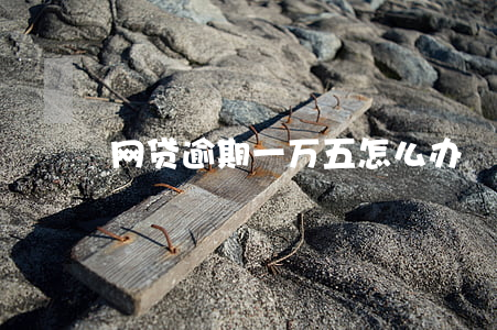 网贷逾期一万五怎么办
