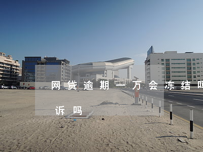 网贷逾期一万会冻结吗 网贷逾期一万会被起诉吗