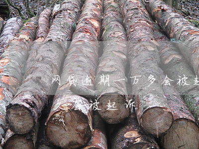 网贷逾期一万多会被起诉吗（网贷一万逾期多久会被起诉）
