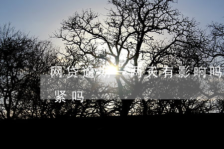 网贷逾期一两天有影响吗(网贷逾期了一天要紧吗)