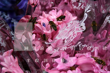 网贷逾期一个月后收到律师函 网贷逾期一年半收到律师函