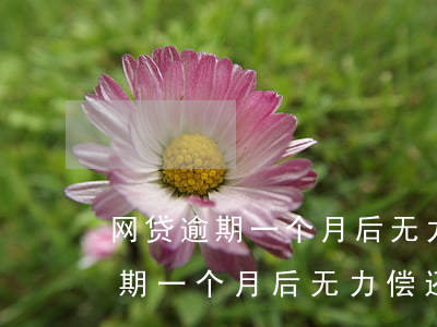 网贷逾期一个月后无力偿还怎么办-网贷逾期一个月后无力偿还怎么办呢