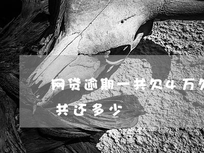 网贷逾期一共欠4万(欠网贷四万逾期三年一共还多少)