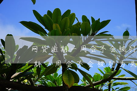 网贷逾期一周会不会被列为失信人-网贷逾期一周会不会被列为失信人员