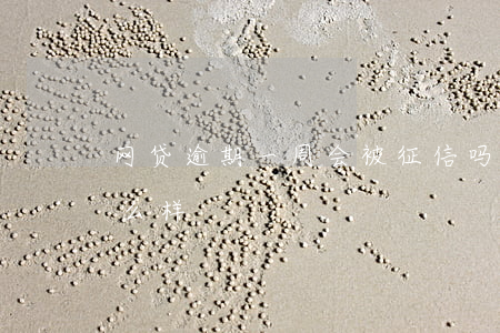 网贷逾期一周会被征信吗(网贷逾期一周会怎么样)