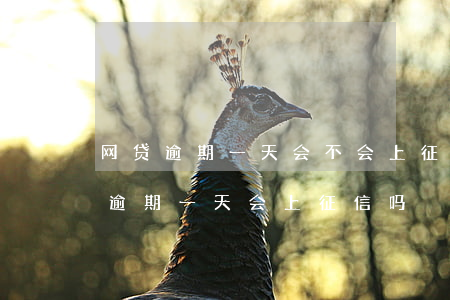 网贷逾期一天会不会上征信怎么计算-网贷逾期一天会上征信吗?