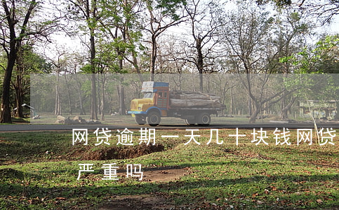 网贷逾期一天几十块钱(网贷欠几百块钱逾期严重吗)
