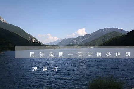 网贷逾期一天如何处理(网贷逾期一天如何处理最好)