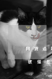 网贷逾期一天就开始催收(网贷逾期一天一直被催怎么办)