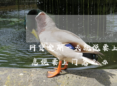 网贷逾期一天就说要上门(网贷逾期今天发信息说要上门怎么办)