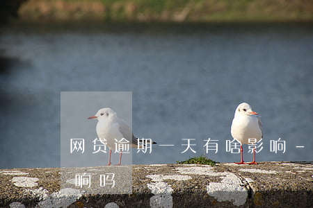 网贷逾期一天有啥影响-网贷逾期一天有影响吗?