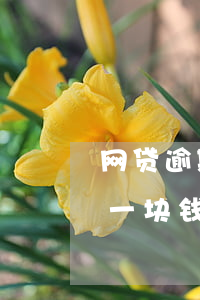 网贷逾期一天罚息120(网贷逾期一天罚息一块钱合法吗)