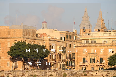 网贷逾期一天能去当兵吗(网贷逾期一天还能贷款吗)