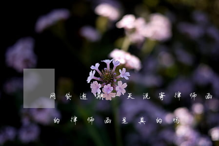 网贷逾期一天说寄律师函(网贷逾期了发过来的律师函是真的吗)
