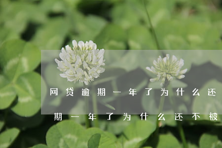 网贷逾期一年了为什么还不被起诉-网贷逾期一年了为什么还不被起诉呢