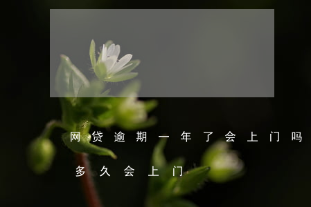 网贷逾期一年了会上门吗(几千块的网贷逾期多久会上门)