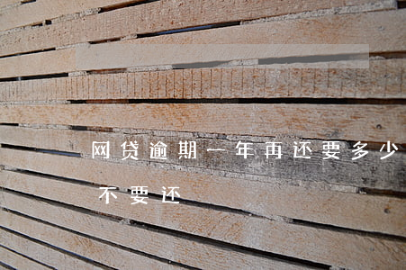 网贷逾期一年再还要多少(网贷逾期一年了要不要还)