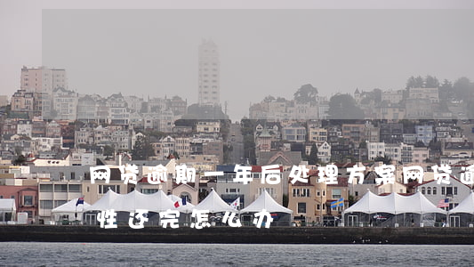 网贷逾期一年后处理方案(网贷逾期要求一次性还完怎么办)