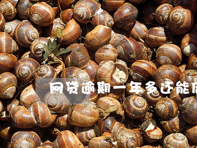 网贷逾期一年多还能借吗