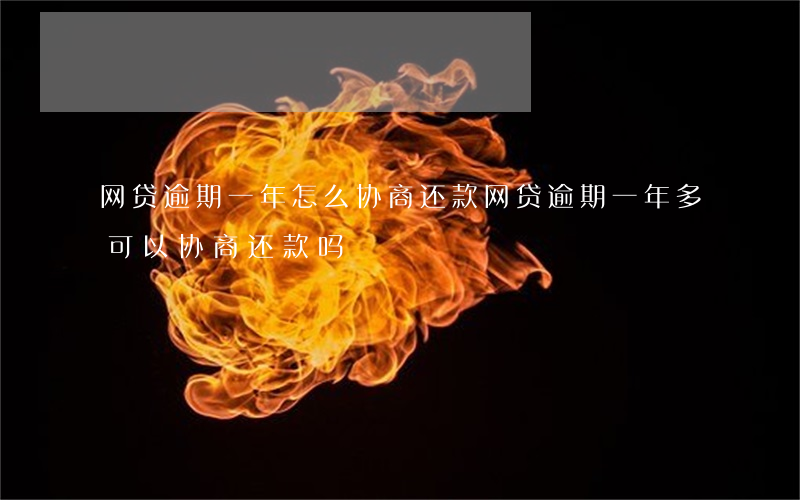 网贷逾期一年怎么协商还款（网贷逾期一年多可以协商还款吗）