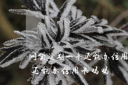 网贷逾期一年还能办信用卡吗(网贷逾期一年还能办信用卡吗吗)