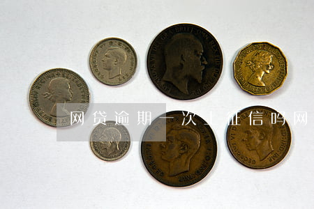 网贷逾期一次上征信吗(网贷逾期一天上征信)