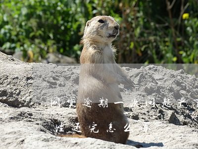 网贷逾期一次问题严重不(网贷逾期要求一次性还完怎么办)