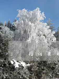 网贷逾期一直发短信要起诉我（网贷逾期收到短信要起诉我怎么办）