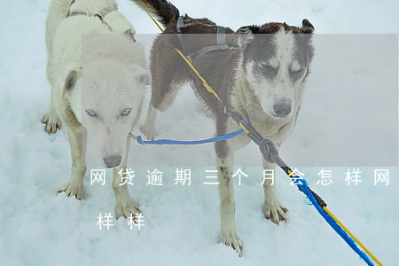 网贷逾期三个月会怎样(网贷逾期三个月会怎样样)