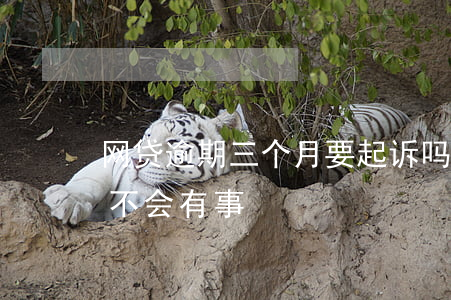 网贷逾期三个月要起诉吗(网贷逾期3个月会不会有事)