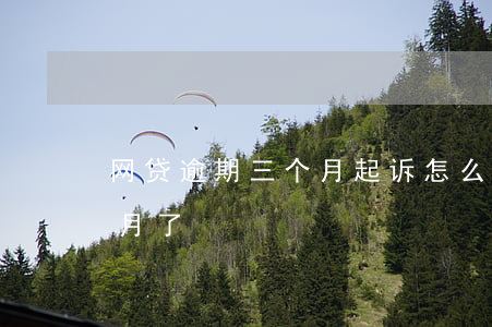 网贷逾期三个月起诉怎么办-网贷逾期三个月了