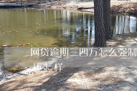 网贷逾期三四万怎么强制(网贷逾期5万多不还怎样)