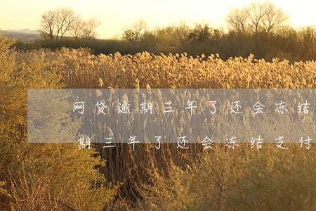 网贷逾期三年了还会冻结支付宝吗-网贷逾期三年了还会冻结支付宝吗安全吗