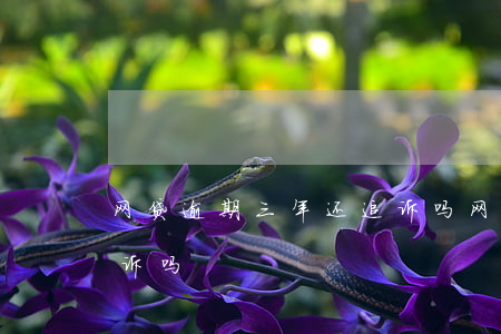 网贷逾期三年还追诉吗(网贷逾期三年还能起诉吗)
