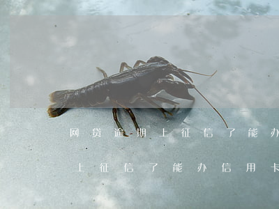网贷逾期上征信了能办信用卡吗-网贷逾期上征信了能办信用卡吗有影响吗