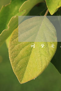 网贷逾期上百名投资者(今年多少人逾期网贷) 网贷逾期上百名投资者(今年多少人逾期网贷)