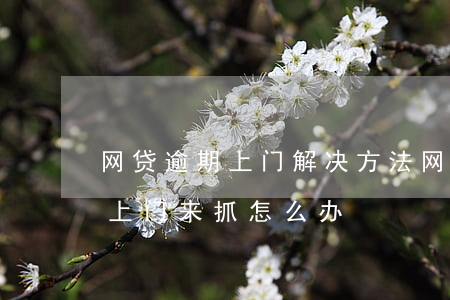 网贷逾期上门解决方法(网贷逾期发短信说要上门来抓怎么办)