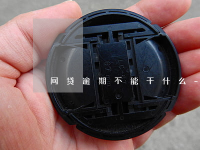 网贷逾期不能干什么-网贷逾期不能贷款