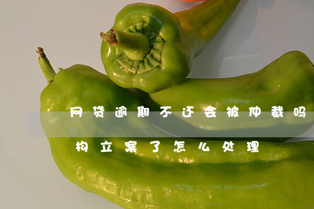 网贷逾期不还会被仲裁吗(网贷逾期被仲裁机构立案了怎么处理)