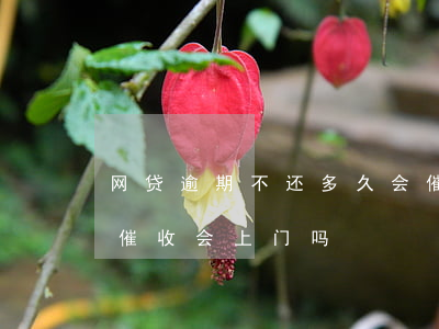 网贷逾期不还多久会催收(网贷逾期多久放弃催收,会上门吗)