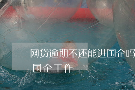 网贷逾期不还能进国企吗(欠网贷会不会影响国企工作)