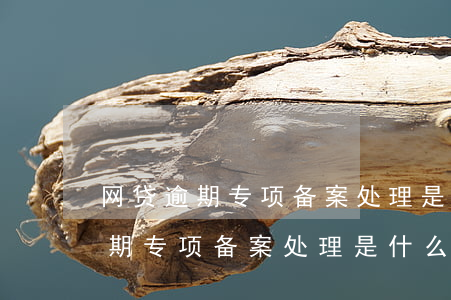 网贷逾期专项备案处理是什么意思-网贷逾期专项备案处理是什么意思啊