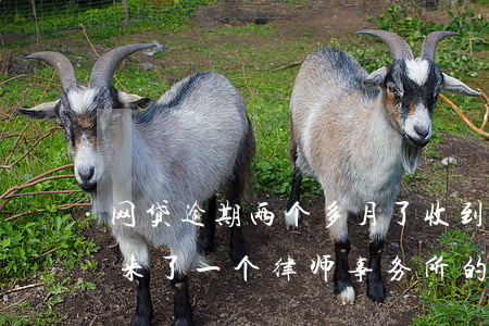 网贷逾期两个多月了收到律师信了(网贷逾期来了一个律师事务所的信)
