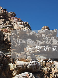 网贷逾期两个月会变成失信人员吗-网贷逾期两个月会变成失信人员吗知乎